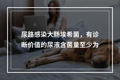 尿路感染大肠埃希菌，有诊断价值的尿液含菌量至少为