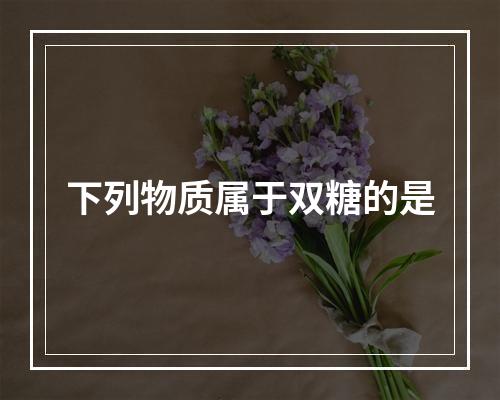 下列物质属于双糖的是