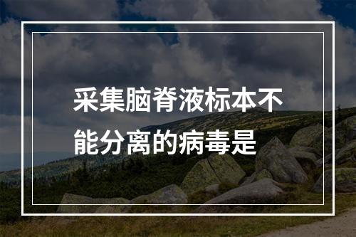 采集脑脊液标本不能分离的病毒是