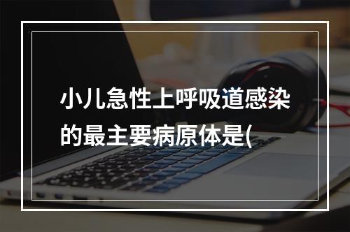 小儿急性上呼吸道感染的最主要病原体是(