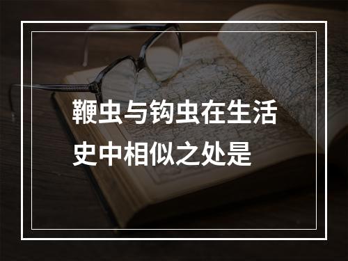 鞭虫与钩虫在生活史中相似之处是