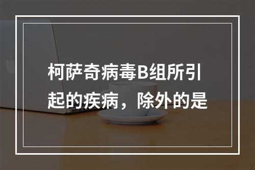 柯萨奇病毒B组所引起的疾病，除外的是