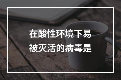 在酸性环境下易被灭活的病毒是