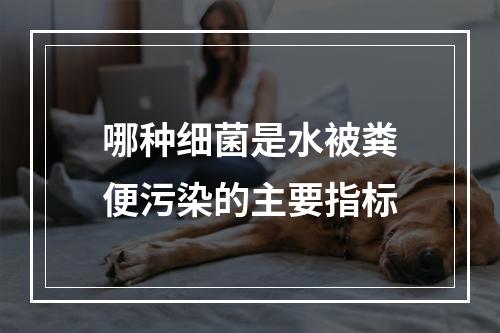 哪种细菌是水被粪便污染的主要指标