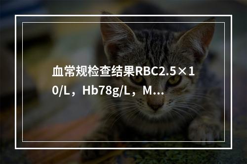 血常规检查结果RBC2.5×10/L，Hb78g/L，MCV