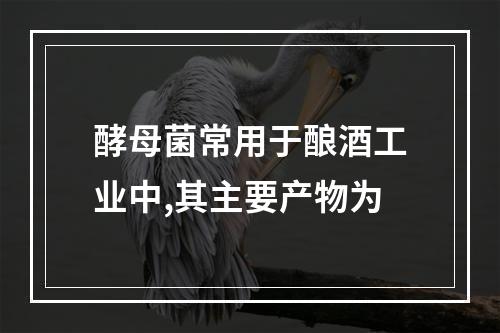 酵母菌常用于酿酒工业中,其主要产物为