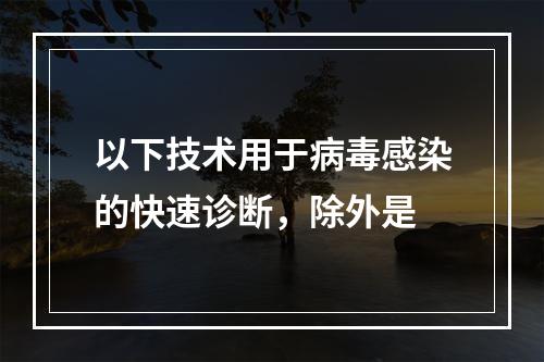 以下技术用于病毒感染的快速诊断，除外是