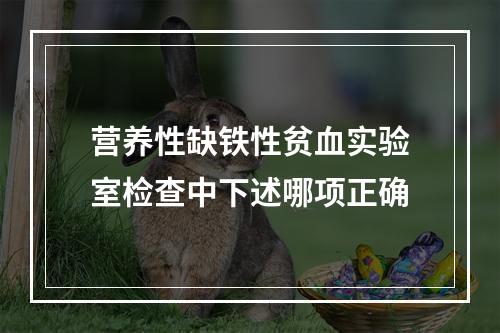 营养性缺铁性贫血实验室检查中下述哪项正确