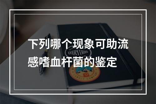 下列哪个现象可助流感嗜血杆菌的鉴定