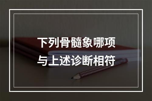 下列骨髓象哪项与上述诊断相符