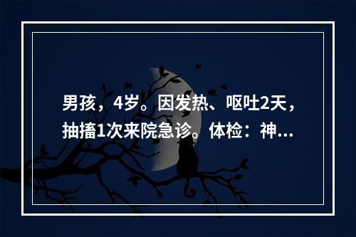 男孩，4岁。因发热、呕吐2天，抽搐1次来院急诊。体检：神萎，