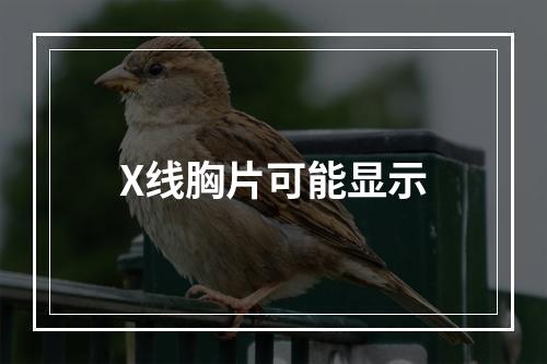 X线胸片可能显示