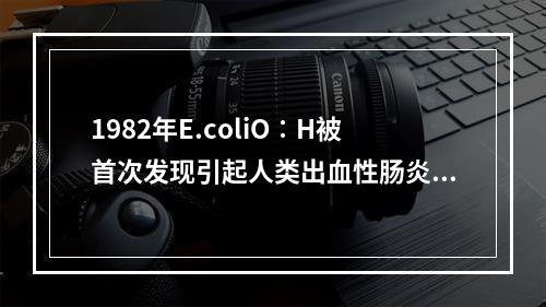 1982年E.coliO∶H被首次发现引起人类出血性肠炎暴发