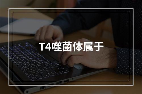 T4噬菌体属于