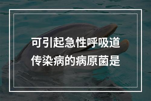 可引起急性呼吸道传染病的病原菌是