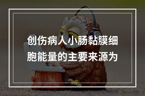 创伤病人小肠黏膜细胞能量的主要来源为