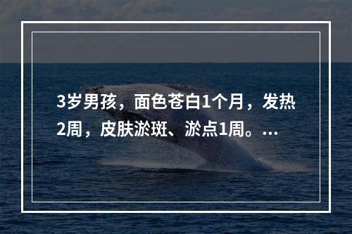 3岁男孩，面色苍白1个月，发热2周，皮肤淤斑、淤点1周。查体