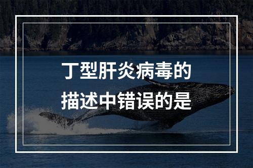 丁型肝炎病毒的描述中错误的是