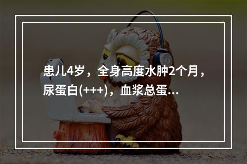 患儿4岁，全身高度水肿2个月，尿蛋白(+++)，血浆总蛋白4