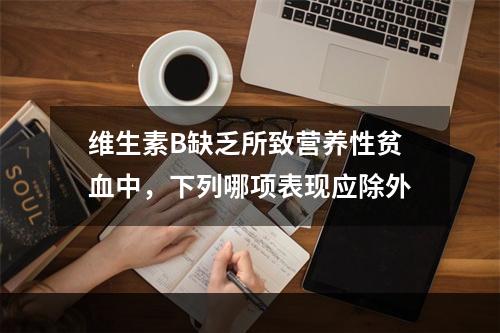 维生素B缺乏所致营养性贫血中，下列哪项表现应除外