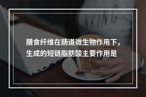 膳食纤维在肠道微生物作用下，生成的短链脂肪酸主要作用是