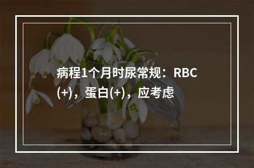 病程1个月时尿常规：RBC(+)，蛋白(+)，应考虑