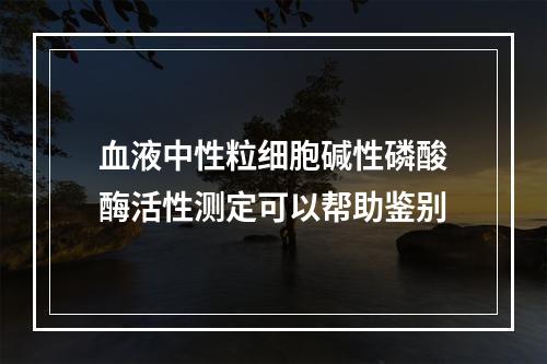 血液中性粒细胞碱性磷酸酶活性测定可以帮助鉴别