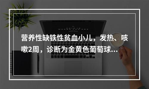 营养性缺铁性贫血小儿，发热、咳嗽2周，诊断为金黄色葡萄球菌肺