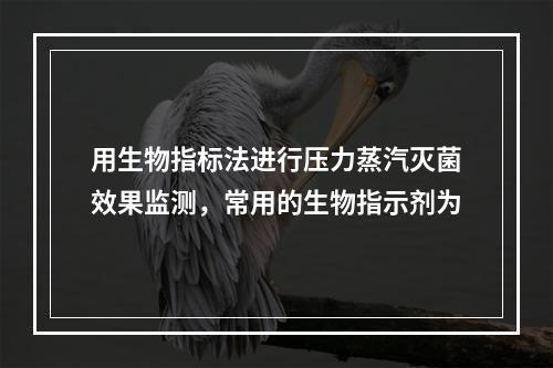 用生物指标法进行压力蒸汽灭菌效果监测，常用的生物指示剂为