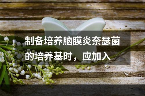 制备培养脑膜炎奈瑟菌的培养基时，应加入