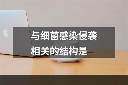 与细菌感染侵袭相关的结构是