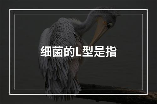 细菌的L型是指