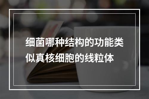 细菌哪种结构的功能类似真核细胞的线粒体