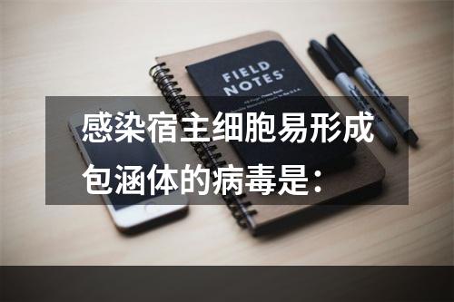 感染宿主细胞易形成包涵体的病毒是：