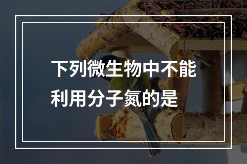 下列微生物中不能利用分子氮的是