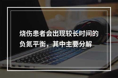 烧伤患者会出现较长时间的负氮平衡，其中主要分解