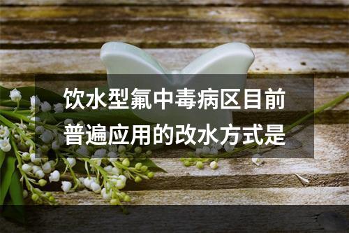 饮水型氟中毒病区目前普遍应用的改水方式是