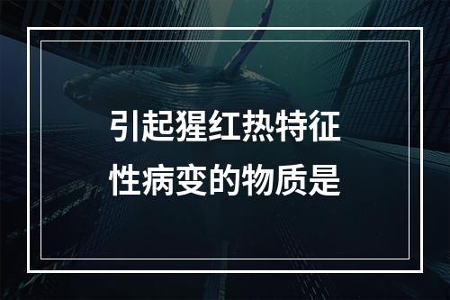 引起猩红热特征性病变的物质是