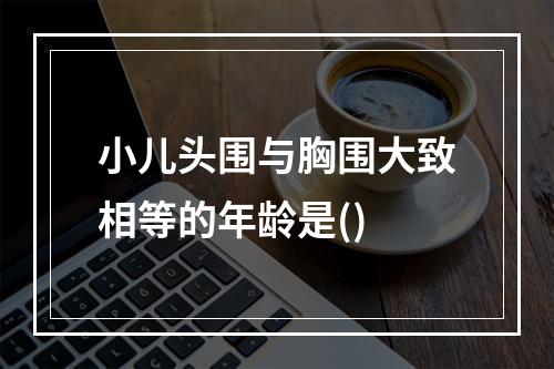 小儿头围与胸围大致相等的年龄是()