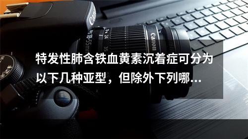 特发性肺含铁血黄素沉着症可分为以下几种亚型，但除外下列哪项