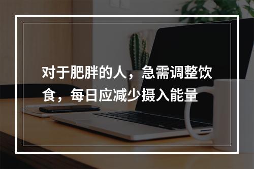 对于肥胖的人，急需调整饮食，每日应减少摄入能量