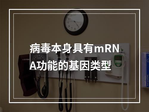 病毒本身具有mRNA功能的基因类型