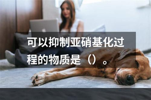 可以抑制亚硝基化过程的物质是（）。