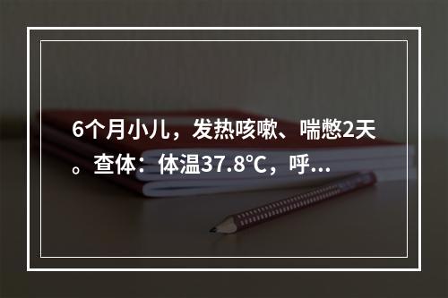 6个月小儿，发热咳嗽、喘憋2天。查体：体温37.8℃，呼吸6