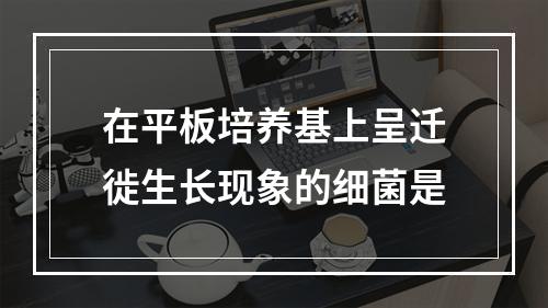 在平板培养基上呈迁徙生长现象的细菌是