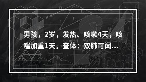 男孩，2岁，发热、咳嗽4天，咳喘加重1天。查体：双肺可闻及散