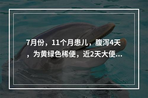 7月份，11个月患儿，腹泻4天，为黄绿色稀便，近2天大便呈深