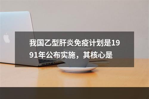 我国乙型肝炎免疫计划是1991年公布实施，其核心是