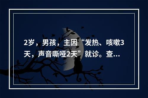 2岁，男孩，主因“发热、咳嗽3天，声音嘶哑2天”就诊。查体：