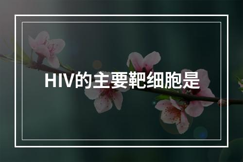 HIV的主要靶细胞是